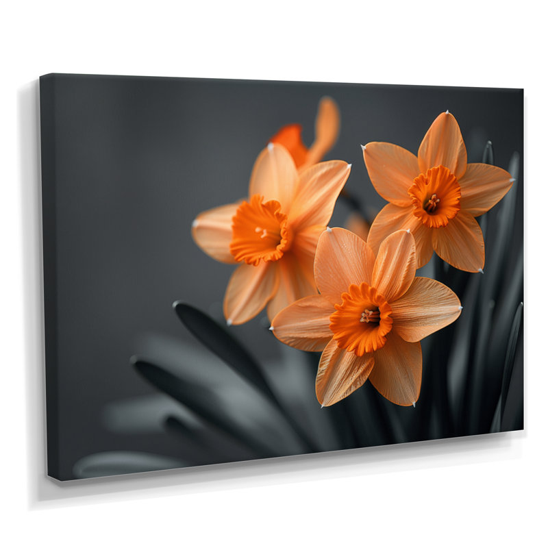 Monochromes tournesol sourire jonquilles I - jonquilles murales, Toile tendue, H 40 po x l 60 po