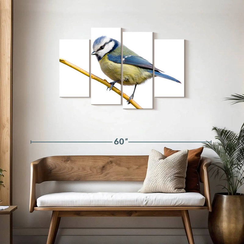 Feathery Blue Tit, H 27 po x l 43 po