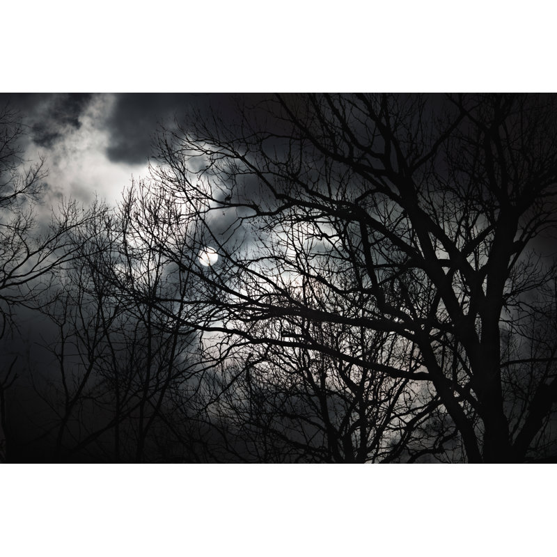 Laramee Halloween Abstract Scenery by Pashabo - Wrapped Canvas Print, 81cm H x 122cm W 3.8cm D