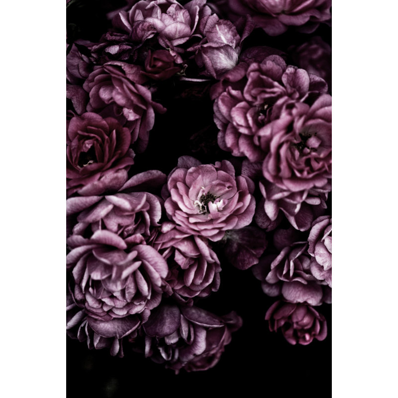 Wrapped Canvas Print, 76.2 cm H x 50.8 cm W