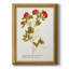 Toile encadrée de qualité supérieure Botanicals-1205242410