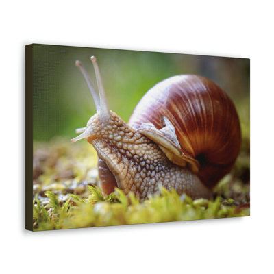 Wall Art on Canvas