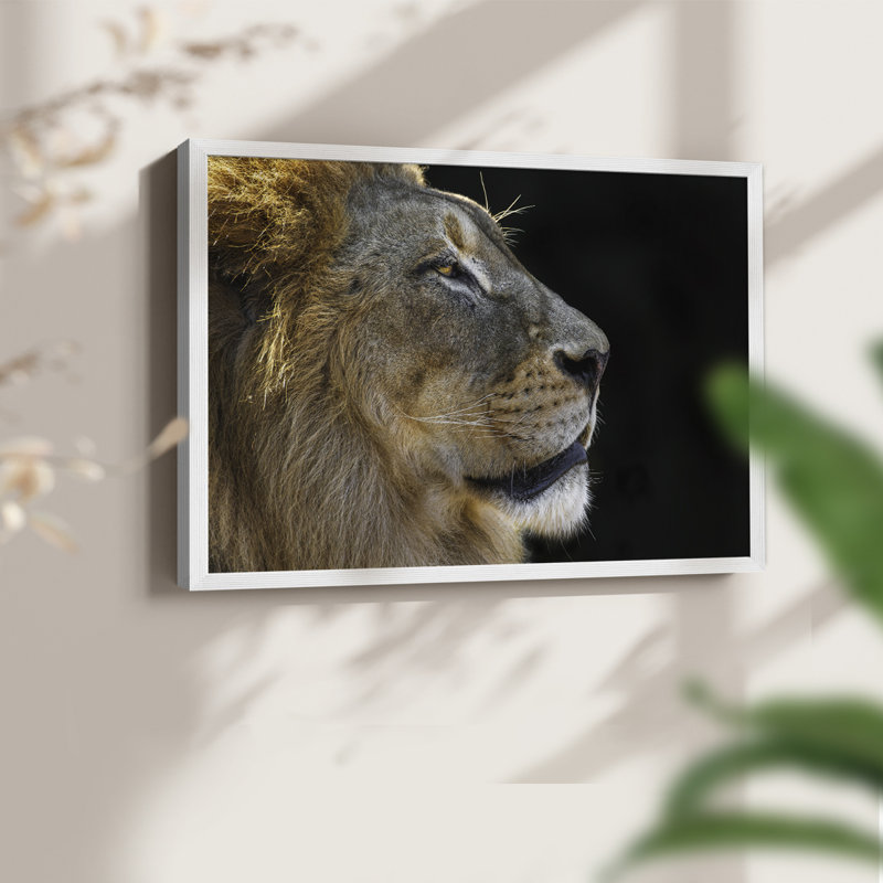 The King - Reproduction encadrée - Restickable, H 22 po x l 28 po, Blanc