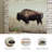 Wrapped Canvas Photograph