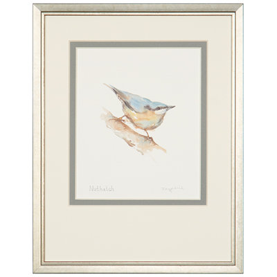 Nuthatch Print