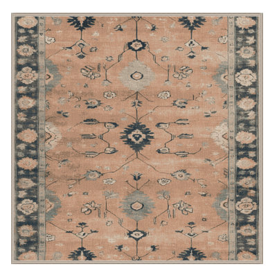 Machine Washable Overdyed Brown Area Rug