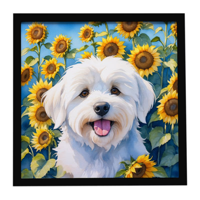 Coton de Tulear in Sunflowers Framed Metal Print