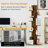Eliades Bookcase-1173629716