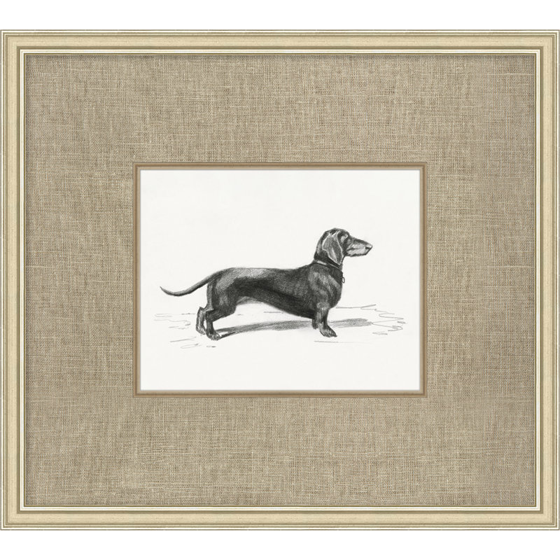 Canine Heirloom 3