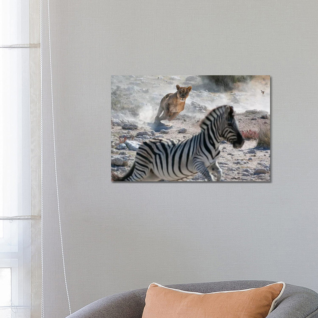 Lion Hunting Zebra by Mogens Trolle - Wrapped Canvas Print