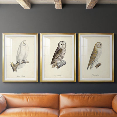 French Owls IV - reproduction sur mesure encadrée de qualité supérieure - 3 pièces