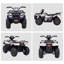 Goodloe Isabelle & Max Battery Powered Ride On-187400685