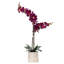 Phalaenopsis artificiel en pot 22 po Karelis-462425076