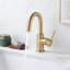 Robinet de salle de bain circulaire monotrou avec ensemble de bonde-63898564