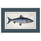 Blue Fish 4 Giclee Print by Dana Gibson