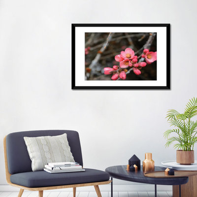«Crabapple Tree Blossoms» par Savanah Plank - reproduction de photo sur toile tendue
