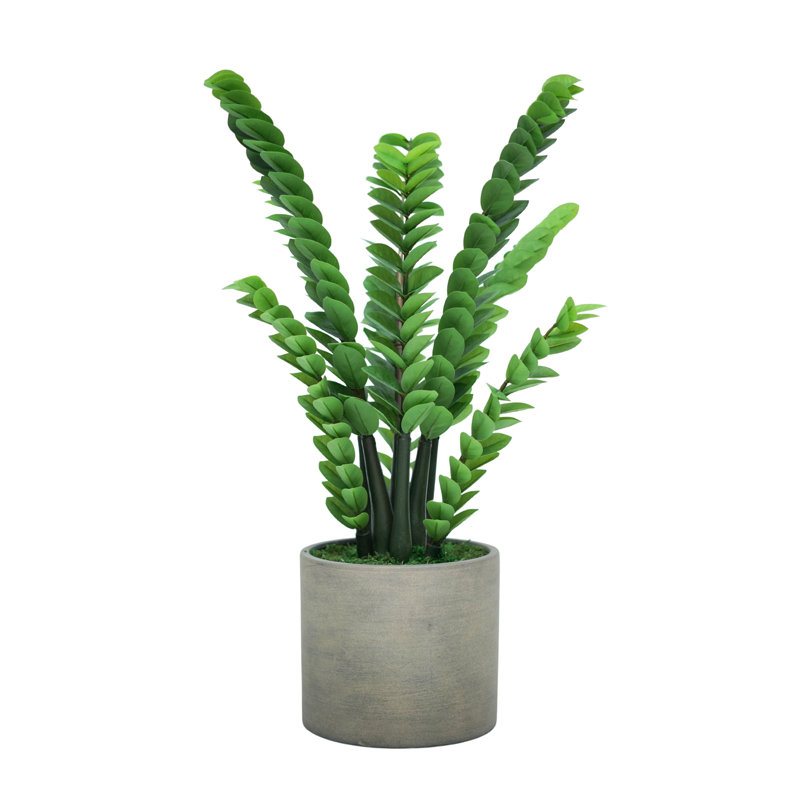 Plante ZZ de 99 cm (39 po) en céramique gris ciment, Cement Gray