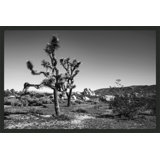 Joshua Tree 2 Print by Christopher Kennedy