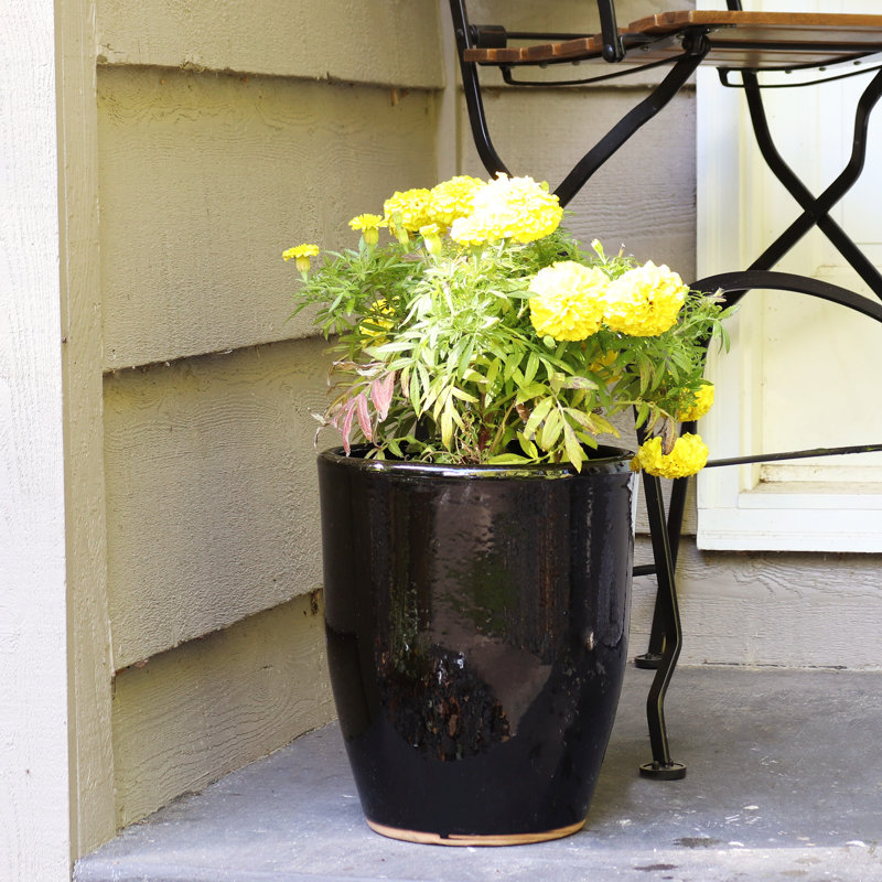 Captivating Vista 11.5" x 11.5" x 14" Round Ceramic Planter 2-Count - Obsidian, Obsidian, 2