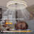 Ceiling Fan With Lights Dimmable Led