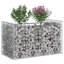 Raised Garden Bed-1114914796