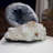 Carter-James Landscape & Nature Crystal