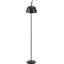 Taleya 170cm Matte Task Floor Lamp-420336628