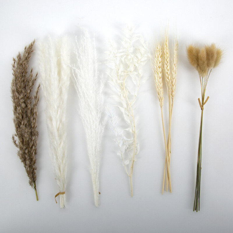 16pcs Natural Dried Pampas Grass Reed Flowers Grass Wheat Bunch Lagurus Grass