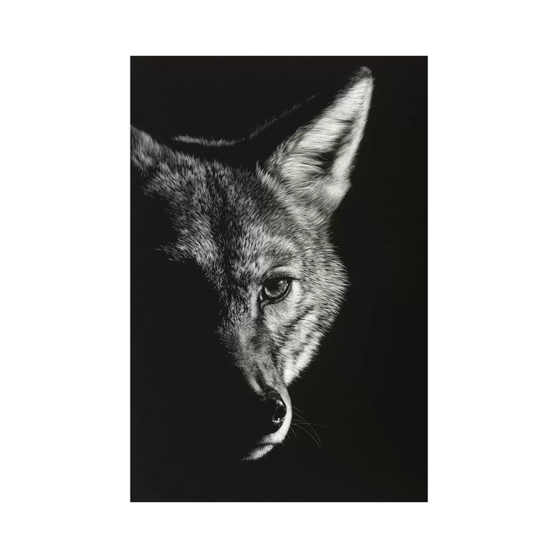 Black Glimpse VI by Julie T. Chapman - Wrapped Canvas Print, 152.5 cm H x 101.5 cm W