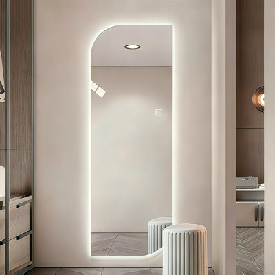 Miroir mural pleine longueur 65 po x 21 po à DEL, forme irrégulière, éclairage à intensité variable 3 couleurs, verre argenté sans cuivre de 5 mm, câblé ou à brancher, pour vestibule, chambre à coucher et salon