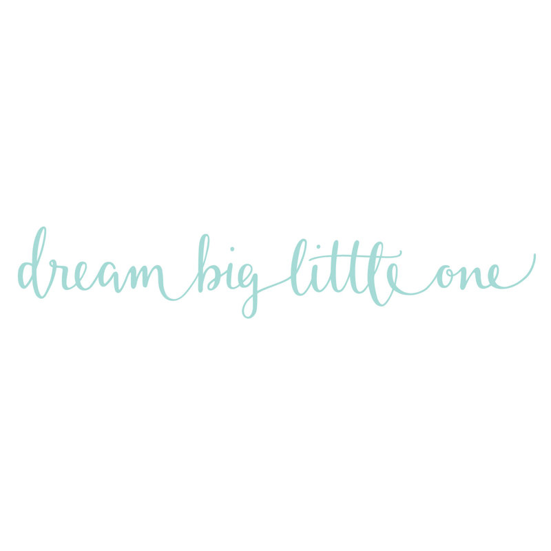Wall Decal, 18cm H x 100cm W, Aqua