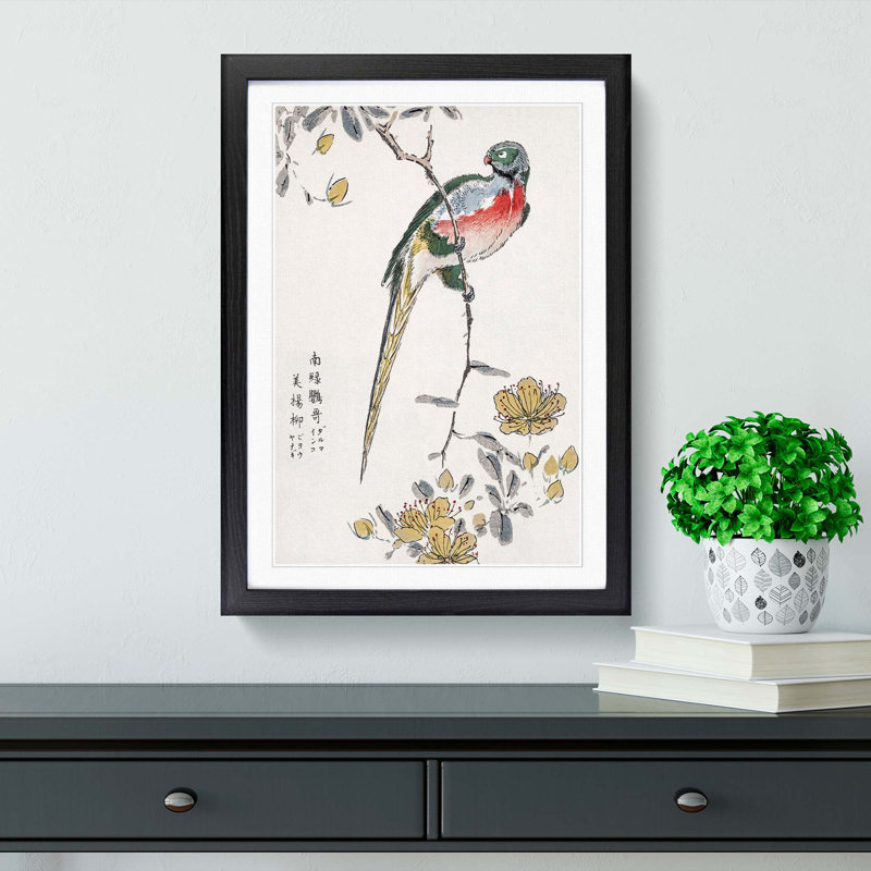 Macaw & Drooping Peach by Numata Kashu - Picture Frame Painting Print, Black, 50cm H x 35cm W x 2cm D