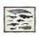 " Vintage Nautical Chart Of Whales Ocean Life " by Victoria Barnes