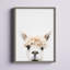 Aurelia Animals-898782695