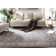 Christensen Performance Oriental Rug