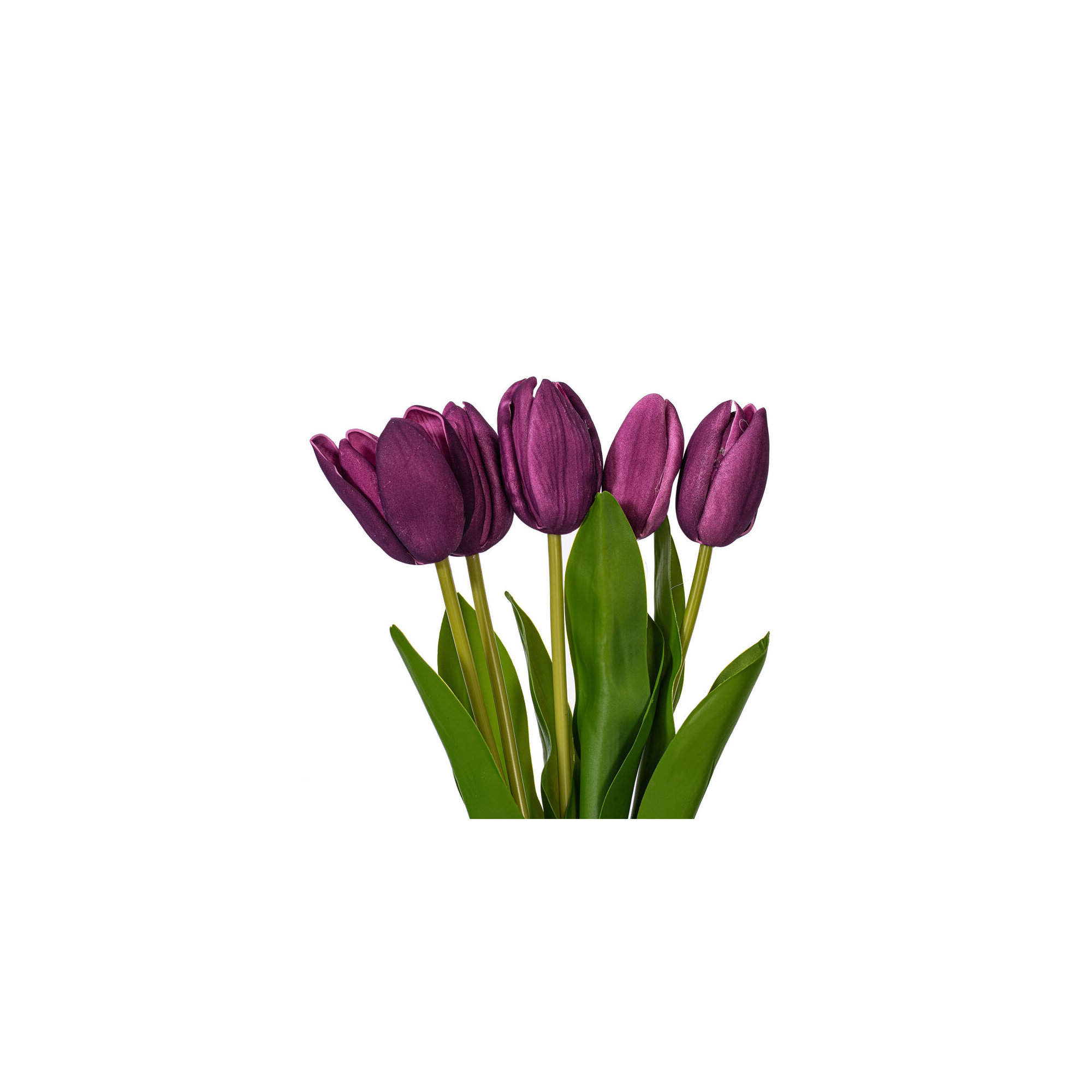 16"H Plum Tulip Bundle of 5., Purple