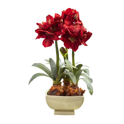 Amaryllis Arrangement