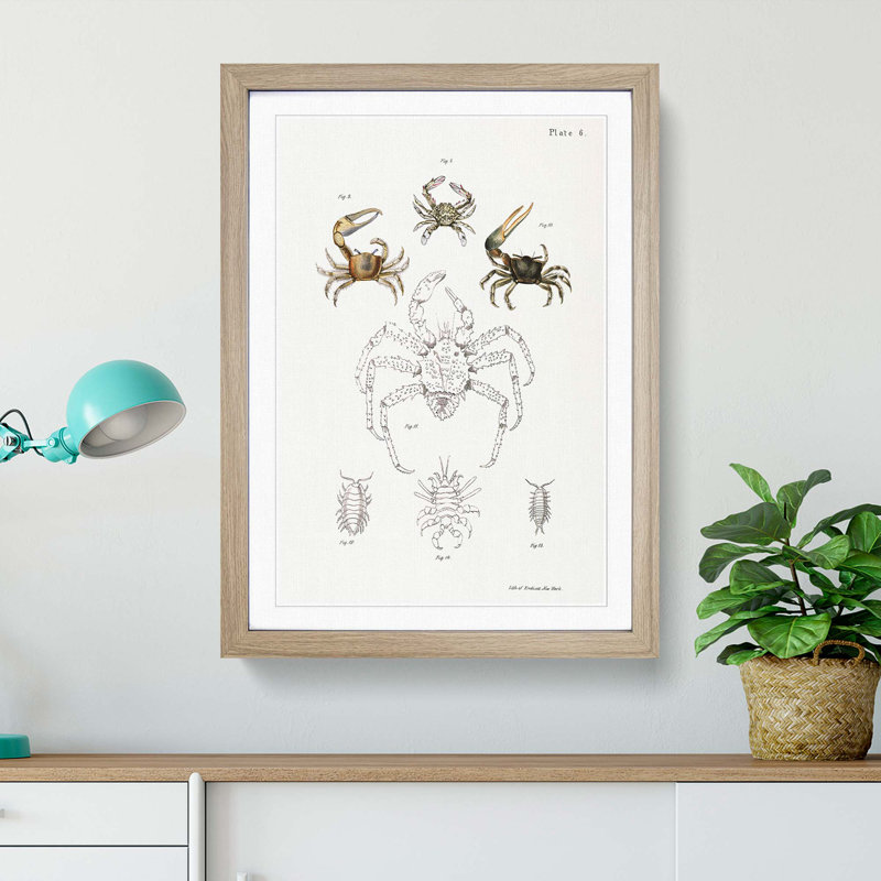 Crabs & Sea Creatures PL. 8 by J.E. De Kay - Framed Print, 48cm H x 36cm W x 2cm D, Oak Framed