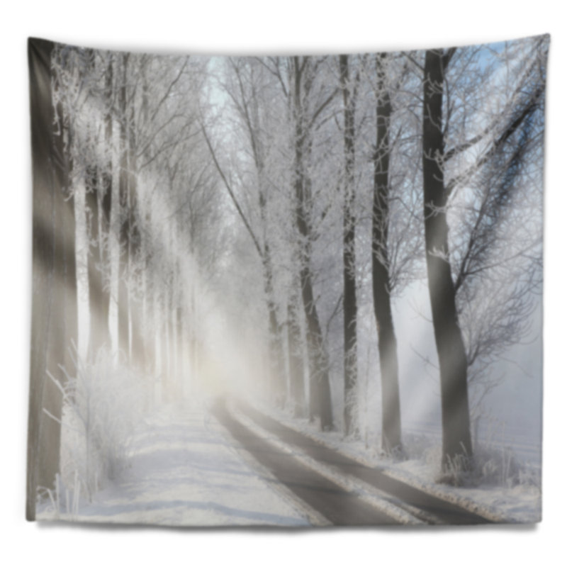 Tapisserie Schafer Landscape Winter Lane in Foggy Morning, H 32 po x l 39 po