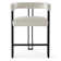 Colrain 24" Upholstered Velvet Solid Back Counter Stool