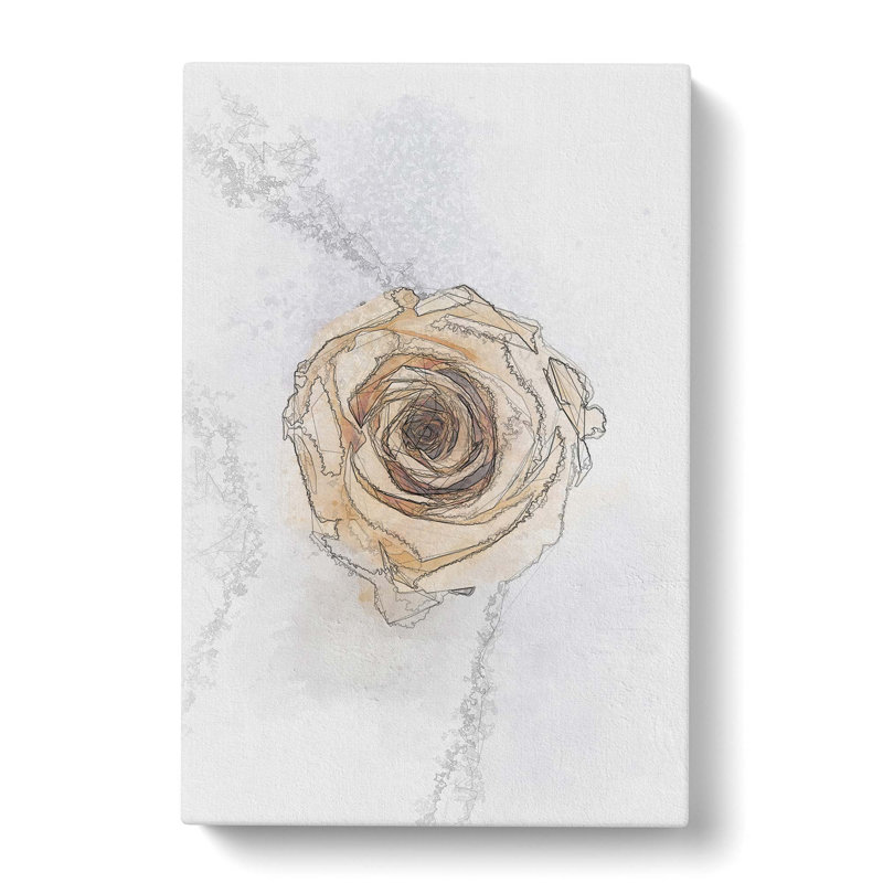 Pale Yellow Rose in Abstract - Wrapped Canvas Drawing - Wrapped Canvas, 76cm H x 50cm W x 3cm D