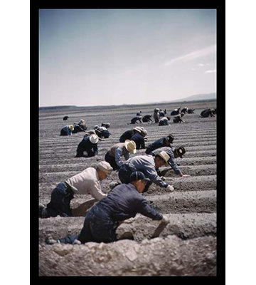 Japanese-American Camp, War Emergency Evacuation by Russell Lee - Unframed Photograph