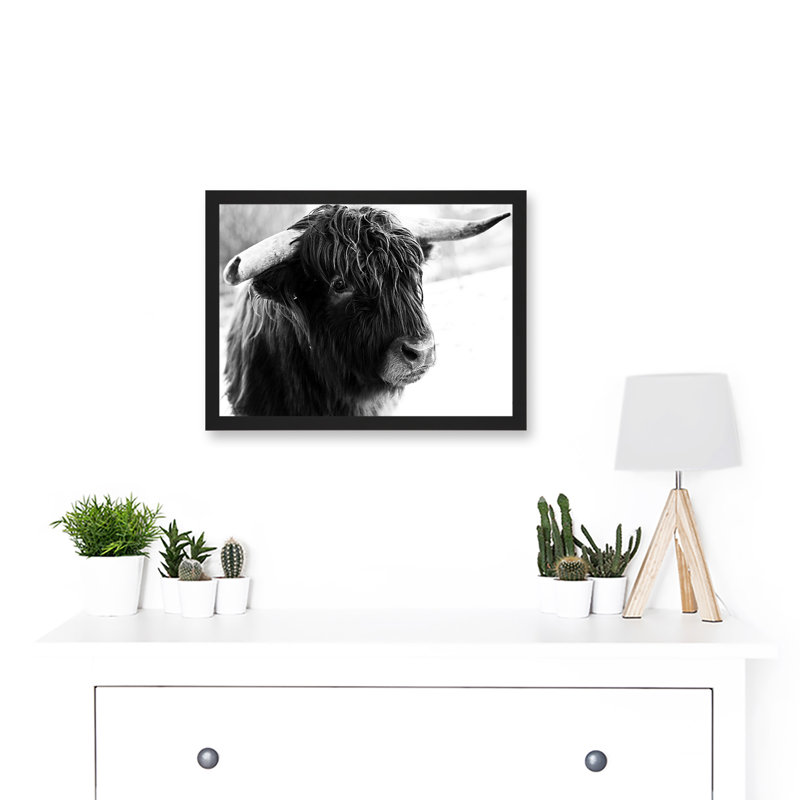 Highland Cow Bull Horns Black White Photo 1 Piece Single Picture Frame Wall Art