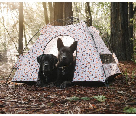 Tente d'extérieur pour chien Scout & About, Vanille