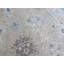 Tapis oriental noué à la main 11 pi 8 po x 15 pi 3 po Peshawar 6FA7B4F4F059440AB84E33B76B5BA369