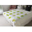 Dominiqua Plain Weave / Muslin Throw Blanket