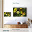 Avocat biologique Yarlin-108694052