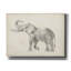  «Elephant Sketch 1» par Ethan Harper, art mural sur toile, 54 po x 40 po