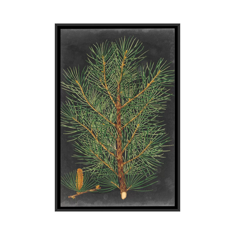 «Dramatic Pine II», impression sur toile, H 26 po x l 18 po x P 1,5 po, Toile avec cadre noir, Pas de tapis
