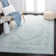 Olius Performance Oriental Rug
